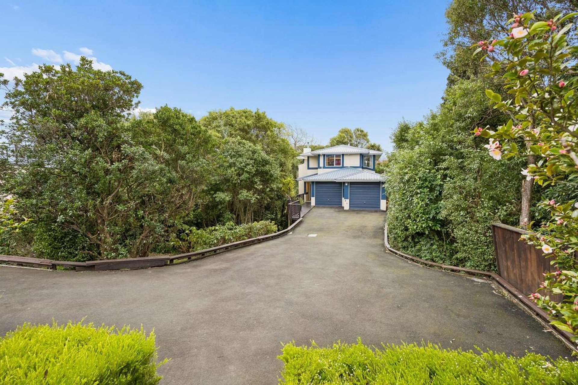 85 Belford Street Waverley_0