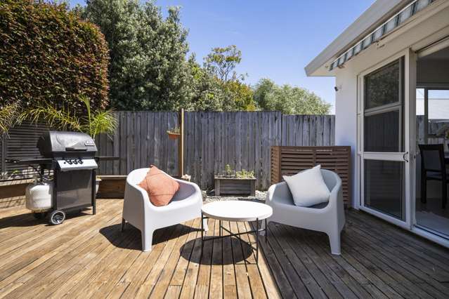 152A Hutchinson Avenue New Lynn_2