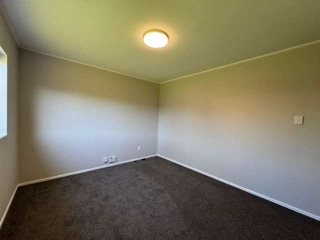  2/145 Tukapa Street Westown_4