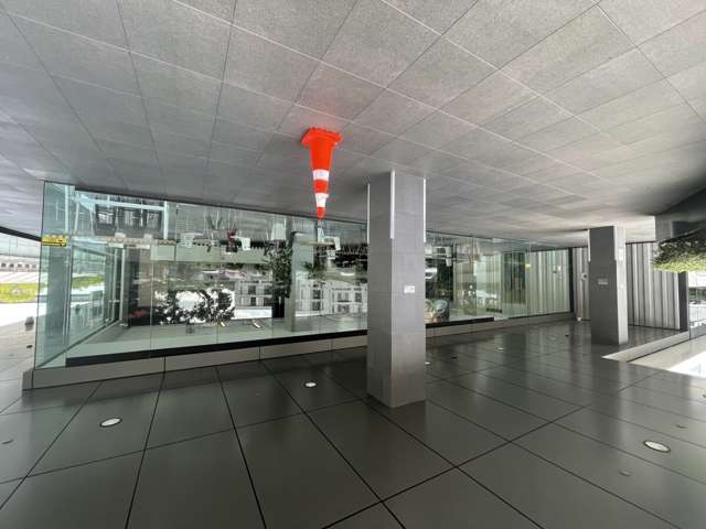 73 Remuera Road Remuera_4