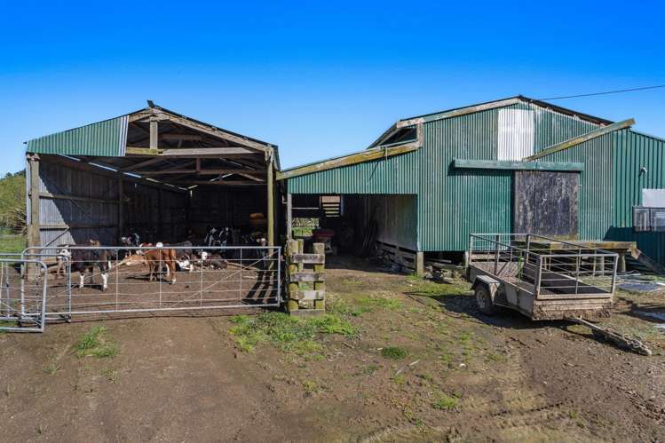 294 Tirohanga Road Opotiki_12