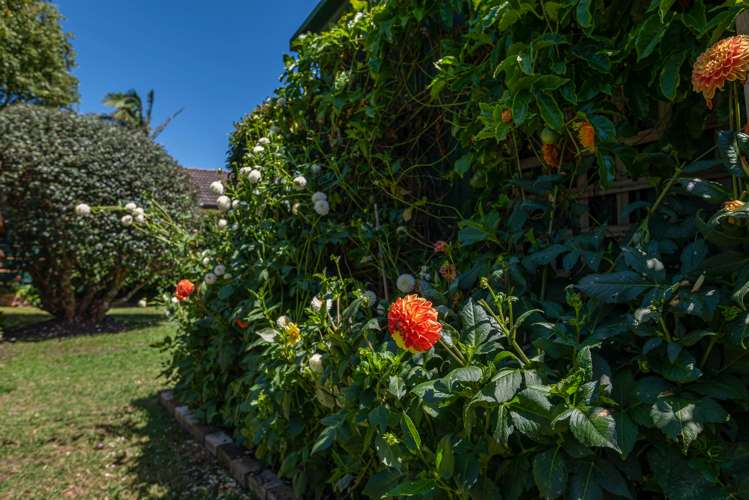 173 Lake Road Belmont_32