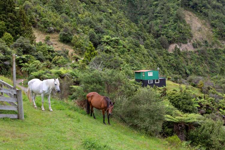 376 Te Waiti Stream Road Opotiki_36