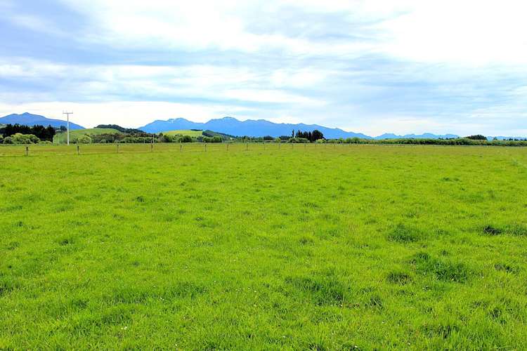 105 Lynwood Road Hillside_24