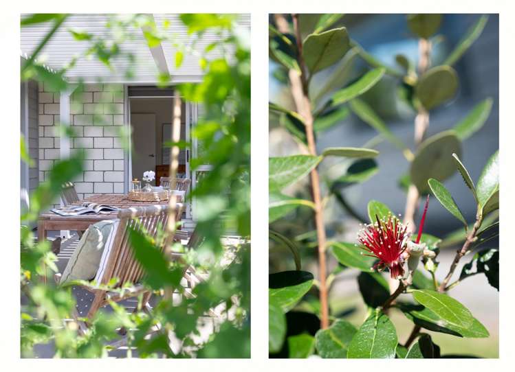 123 Whakaturou Crescent Pyes Pa_19