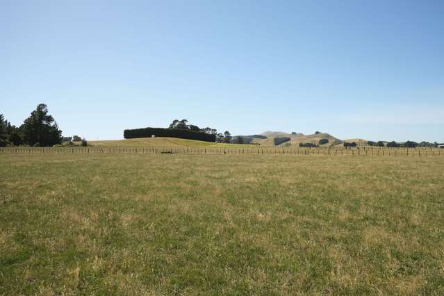 66 Hamilton Road Dannevirke_3