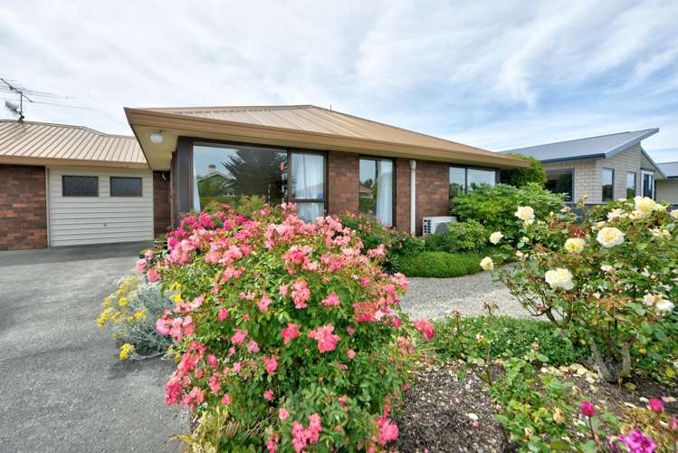 115 Broughton Street Gore_5