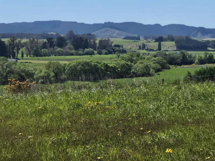 116 Burraness Street Palmerston_6