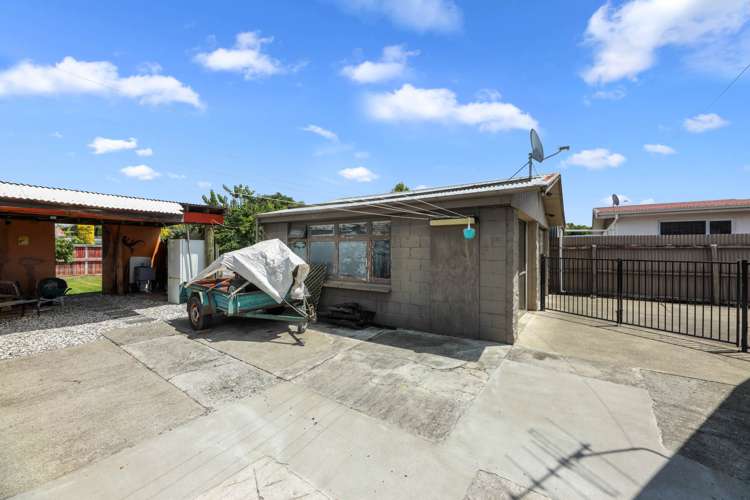 38 Alabama Road Redwoodtown_7