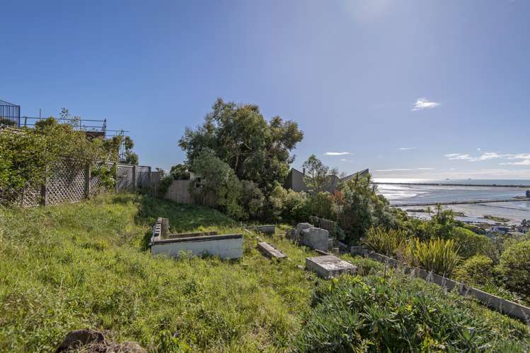 66 Mount Pleasant Road Mount Pleasant_8