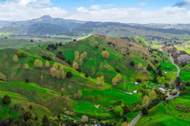 162 Okahukura Saddle Road Matiere_4