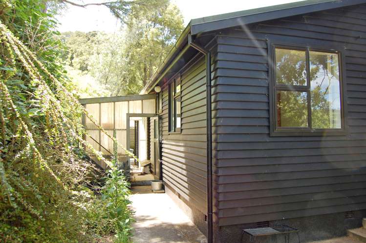 14 Tui Terrace Waipori Falls_5