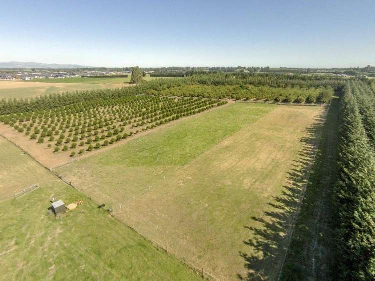 3/377 Halkett Road West Melton_5