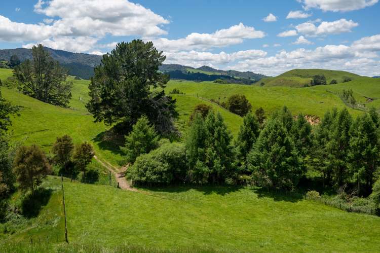 286 Jay Road Reporoa and Surrounds_13