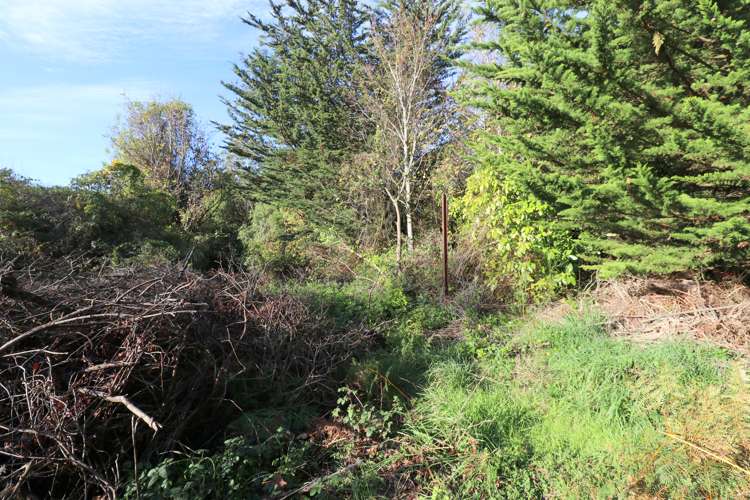 51 Marama Avenue South Otatara_5