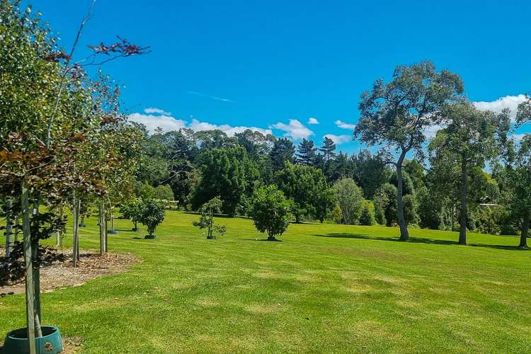 44 Hardens Lane Paremoremo_4