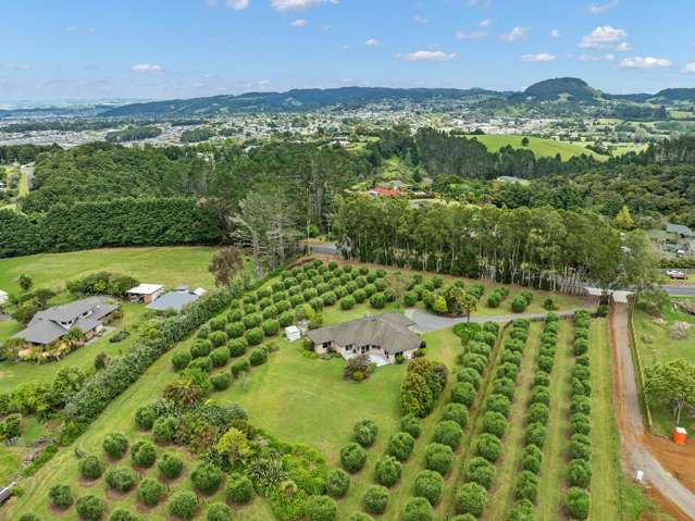 292 Vinegar Hill Road Kauri_2