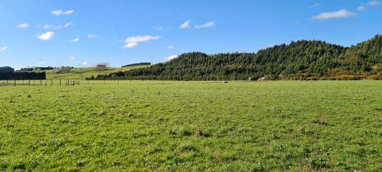 526 Turnbull Road Gore Surrounds_17