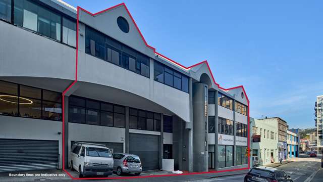 Two versatile inner-city units in Te Aro