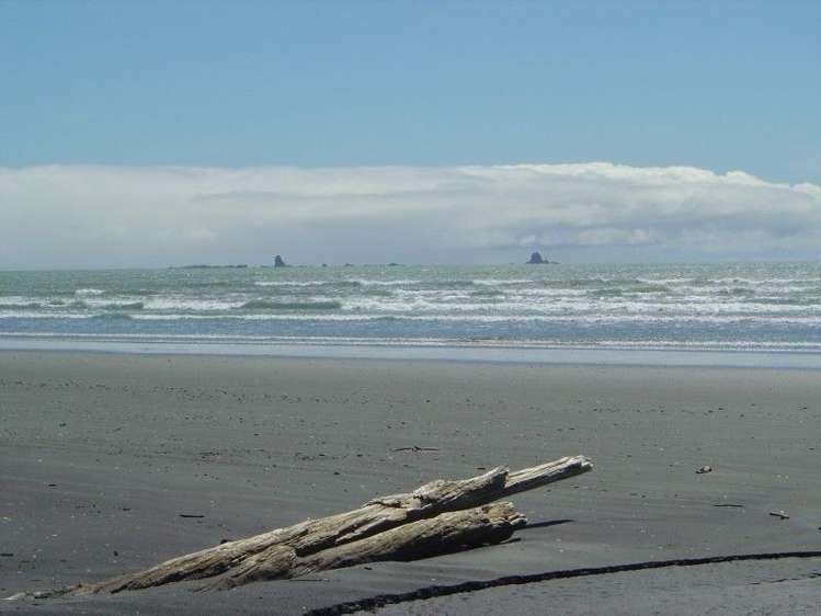 10 Elley Drive Carters Beach_7