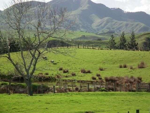 6c Hawkins Place Dargaville Surrounds_1