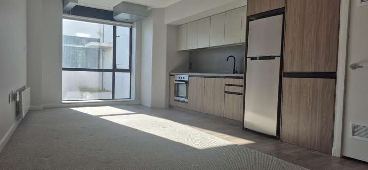 101/14 Laings Road Hutt Central_1