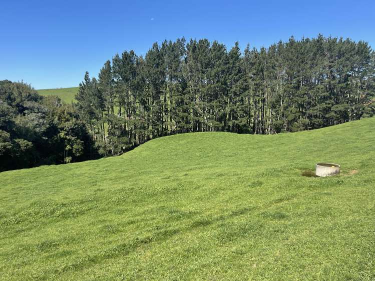 481 Honikiwi Road RD3 Otorohanga_6