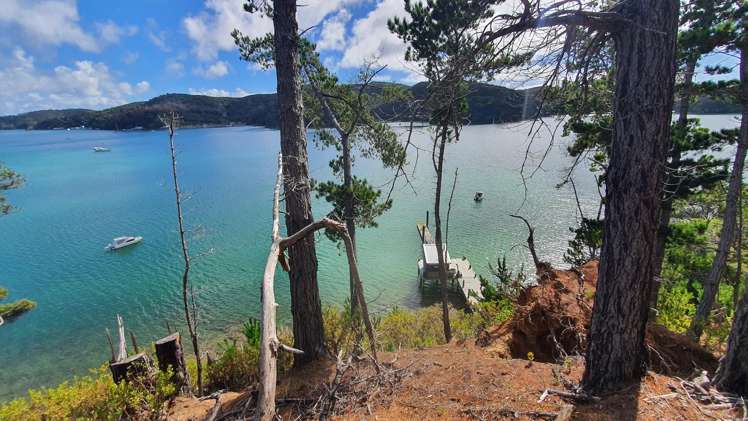 165 Bon Accord Harbour Kawau Island_11