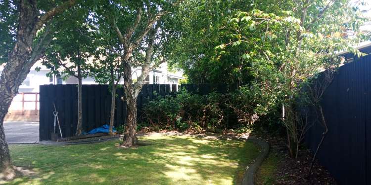 37 Wallace Street Featherston_20