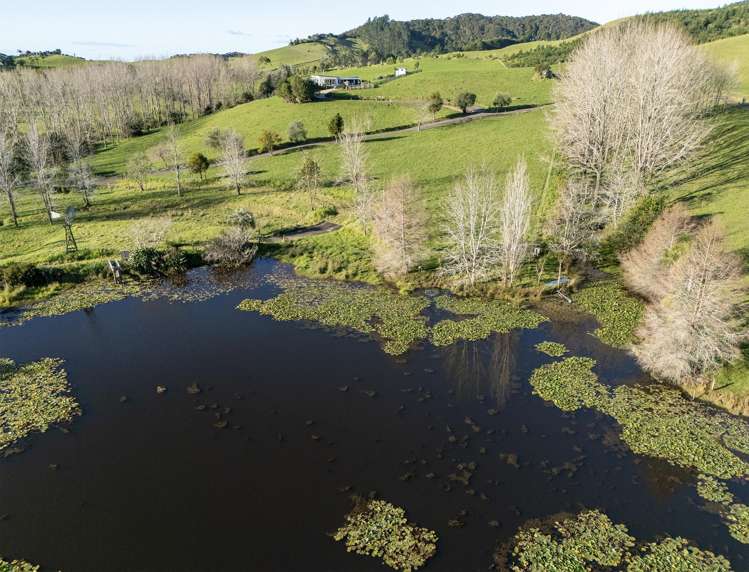 683F Puketona Road Haruru_29