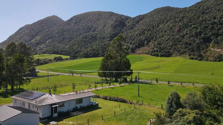 878 Te Kopia Road Waikite Valley_18