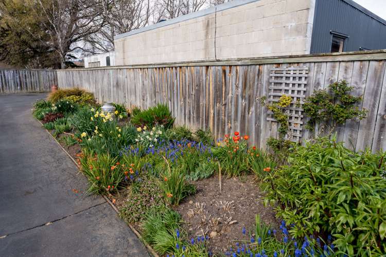 62b Green Street Mosgiel_23