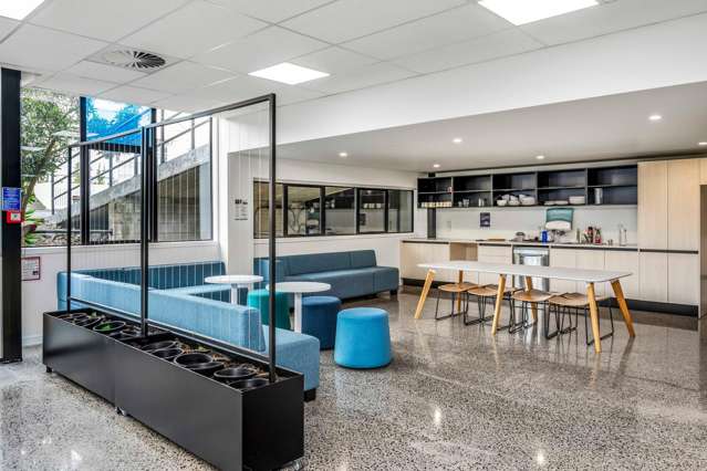 4 Murdoch Road Grey Lynn_1