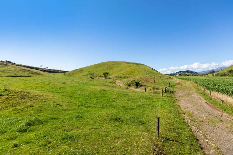 860 Egmont Road Hillsborough_11