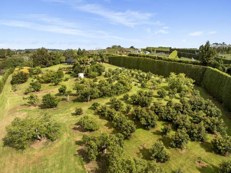 51 Sinclair Road Whakamarama_32