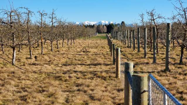 831 Downs Road West Eyreton_4