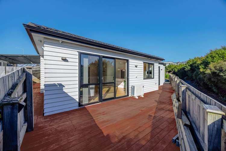 81 Thomas Road Flat Bush_11