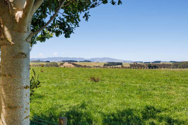 572 Taonui Road Colyton_22