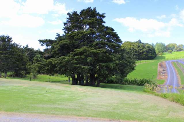 28 Hancock Grove Mangawhai_2