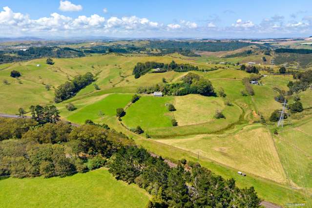 39 Potter Road Tuakau_1