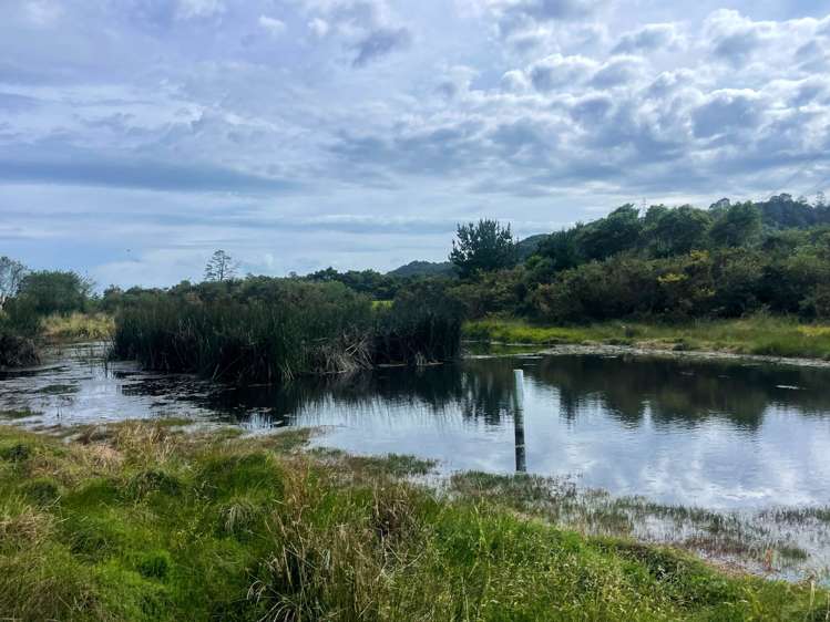 33 Josh Road Huapai_2