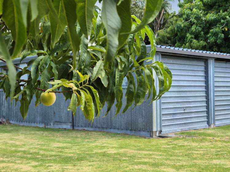 13 Puriri Avenue Kaiaua_11