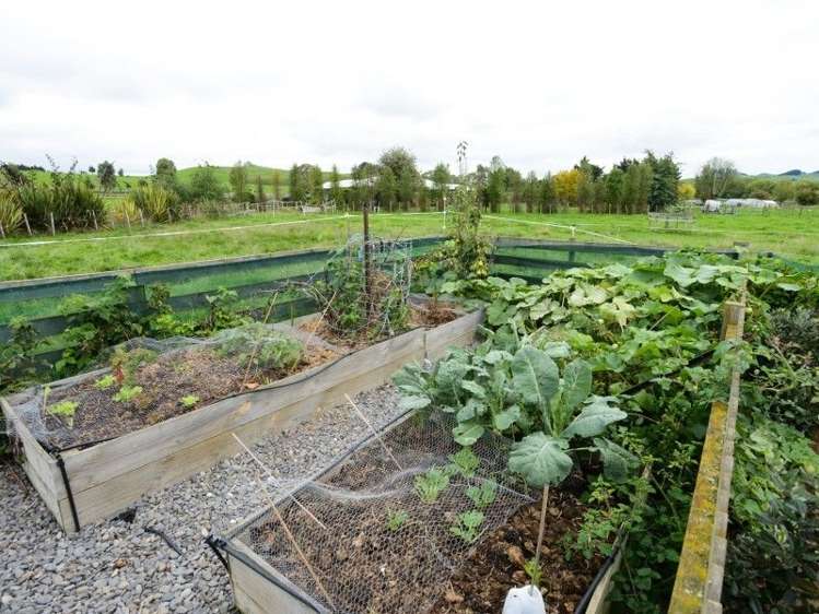 217 Racecourse Road Waipawa_18