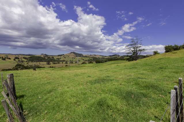 Kaipara Coast Highway Wellsford_3