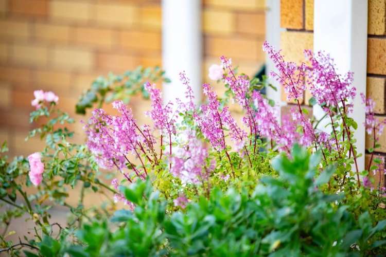 10 Lochinver Drive Nawton_19