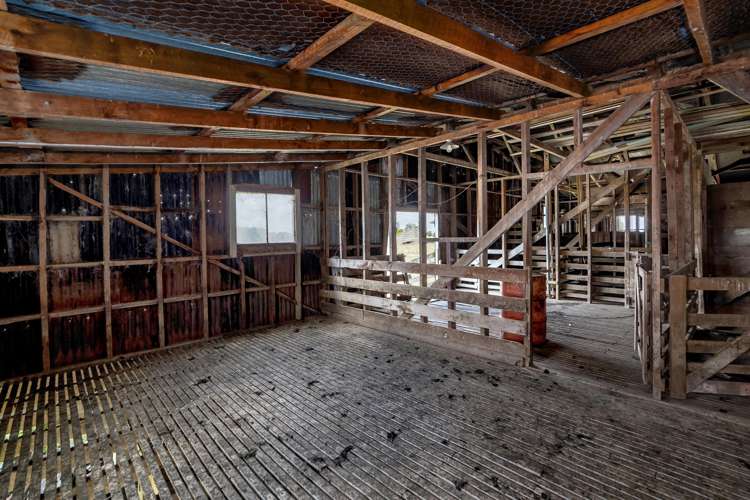 812 Laws Road Dannevirke_10