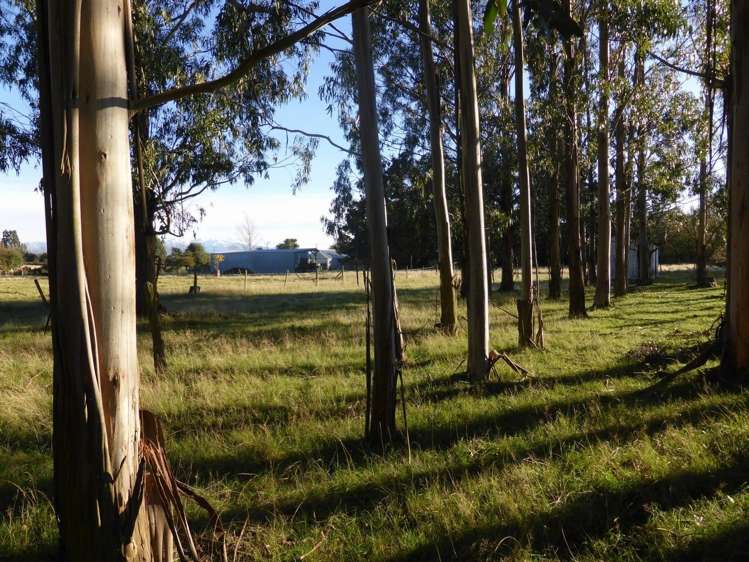 13 Cridges Road Darfield_11