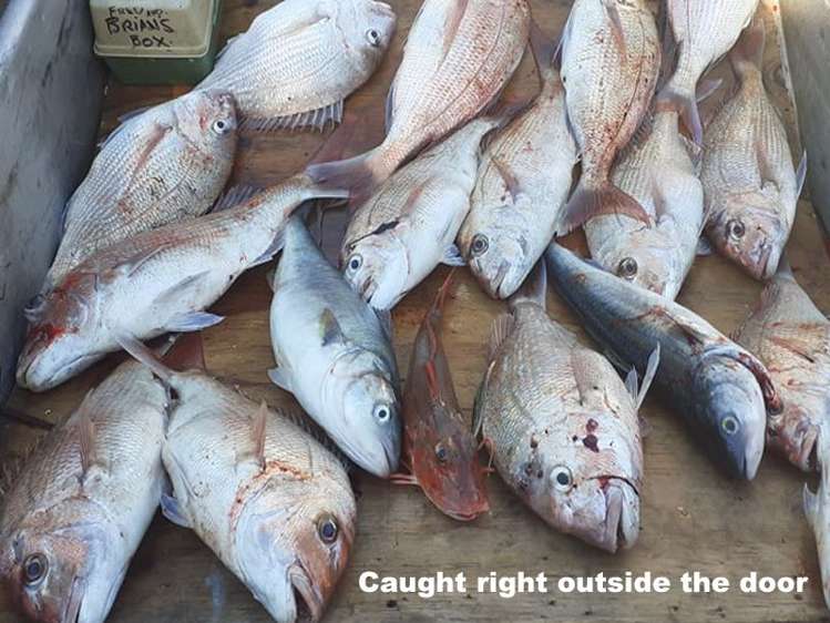 1616 Cape Palliser Road Cape Palliser_13