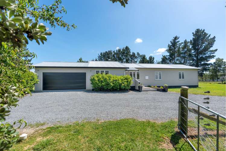 122 Cross Line Morison Bush_23