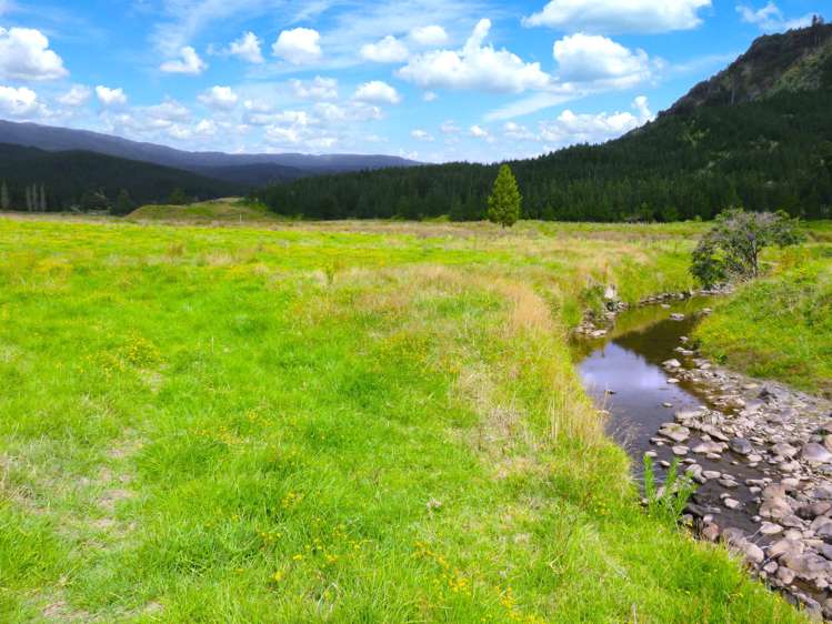 2218 Tangowahine Valley Road Dargaville Surrounds_20